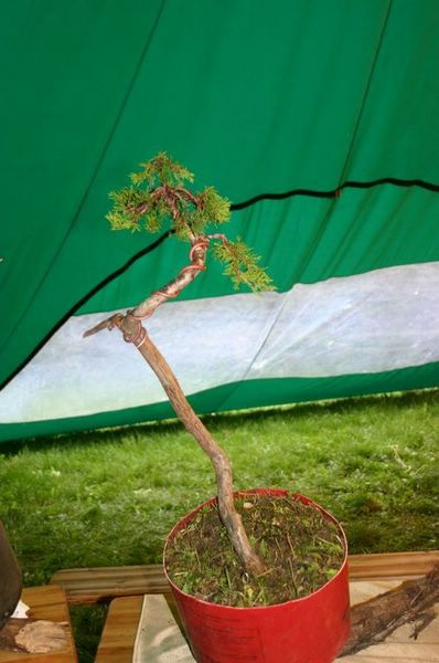 jalbunjinbik [800x600] [640x480].JPG