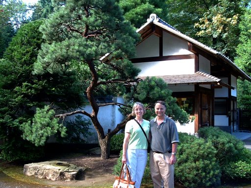 sosna mega ogr jap.jpg