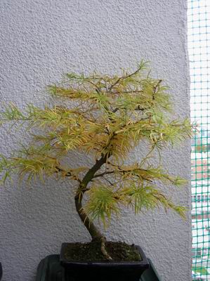 Rotation of PA010002.JPG