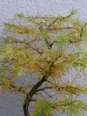 Rotation of PA010003.JPG