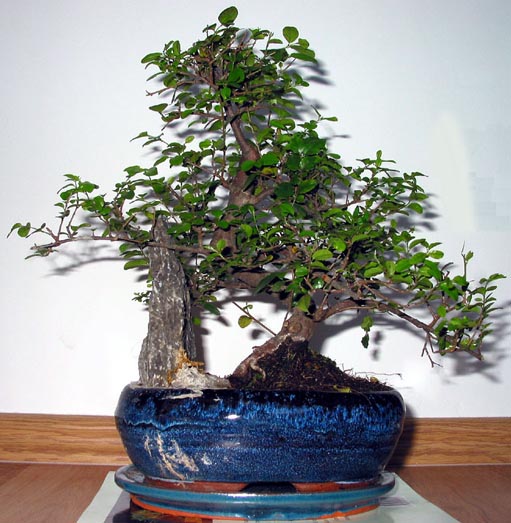 Zdjęcie z początku września