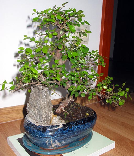 Zdjęcie z początku września