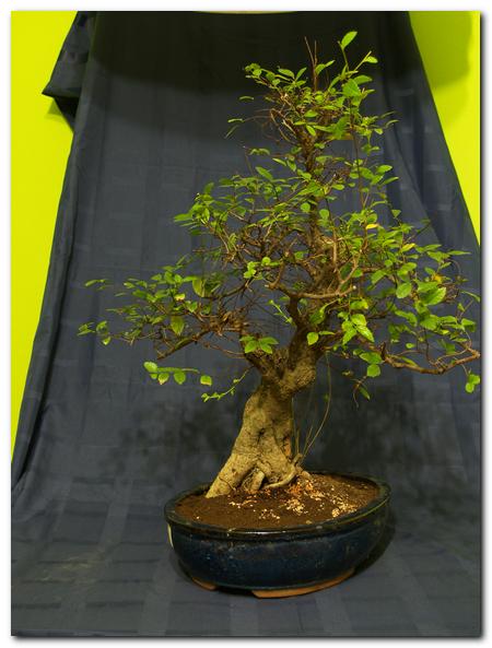 Na obecną chwilę ta strona najbardziej mi pasuje