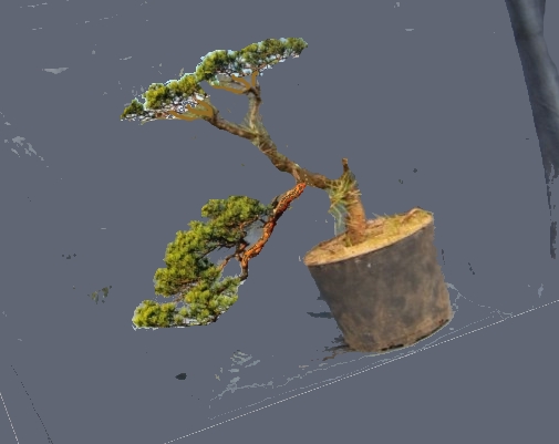 pseudoSokolica 2.jpg