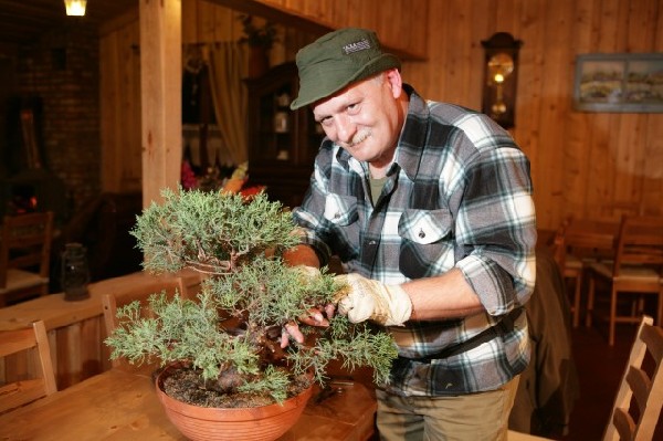 Bonsai Juku Jesien 2008_04 b.jpg