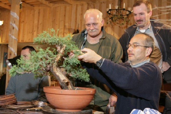Bonsai Juku Jesien 2008_04 c.jpg