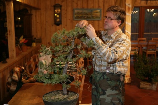 Bonsai Juku Jesien 2008_10 b.jpg