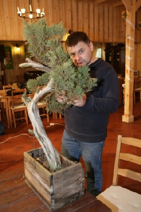 Bonsai Juku Jesien 2008_17.jpg