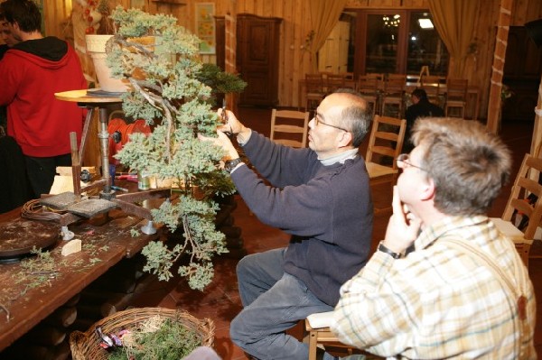 Bonsai Juku Jesien 2008_21 a.jpg