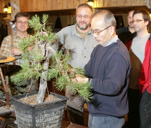 Bonsai Juku Jesien 2008_21 b.jpg
