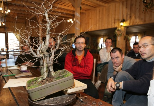 Bonsai Juku Jesien 2008_23.jpg