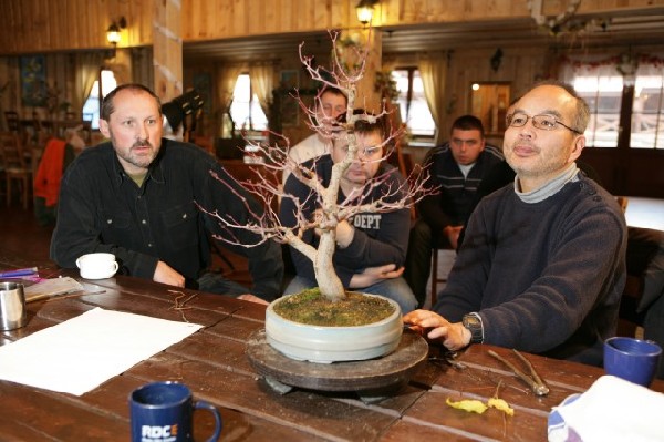 Bonsai Juku Jesien 2008_29.jpg