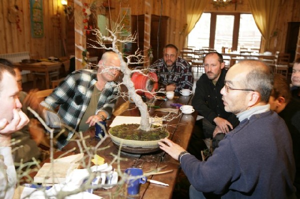 Bonsai Juku Jesien 2008_30.jpg