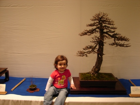 Noelanders trophy 198.jpg