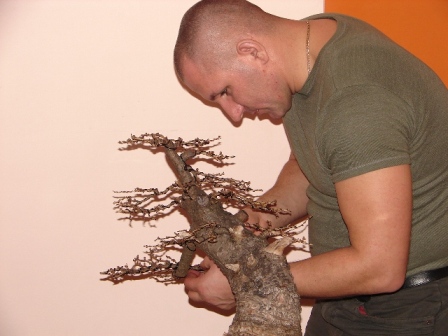 Noelanders trophy 257.jpg