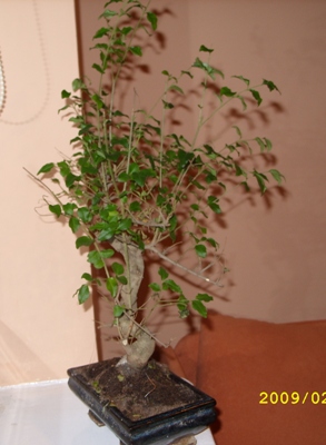 oto tak wyglada przed a po ?