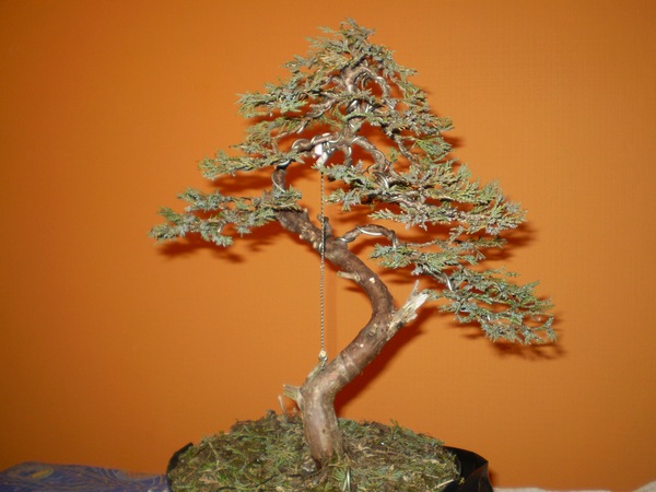 07 - efekt końcowy.JPG