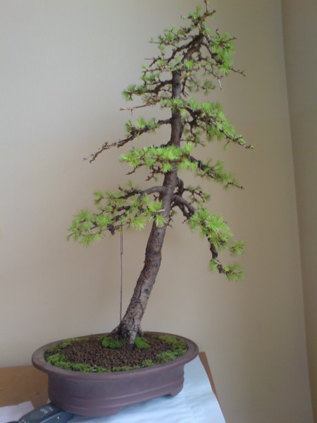 A moze go jeszcze bardziej pochylic..?