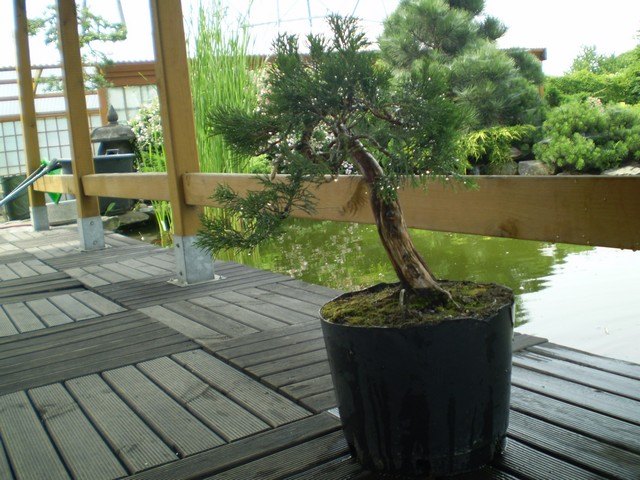 mokre będzie zdrowsze