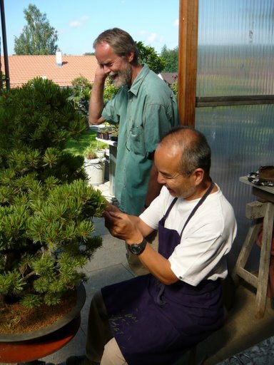 Dwoch Mistrzow i sosna 2008r.jpg