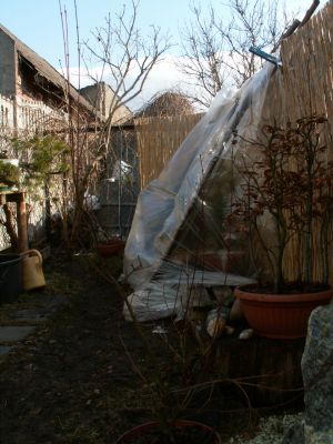 prowizoryczny namiot foliowy