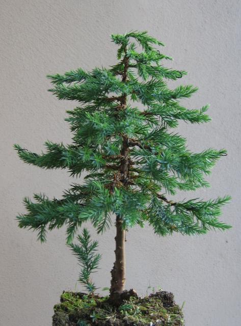 Widok z boku. 07.09.2009