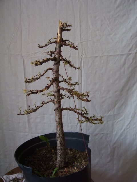 po formowaniu - front