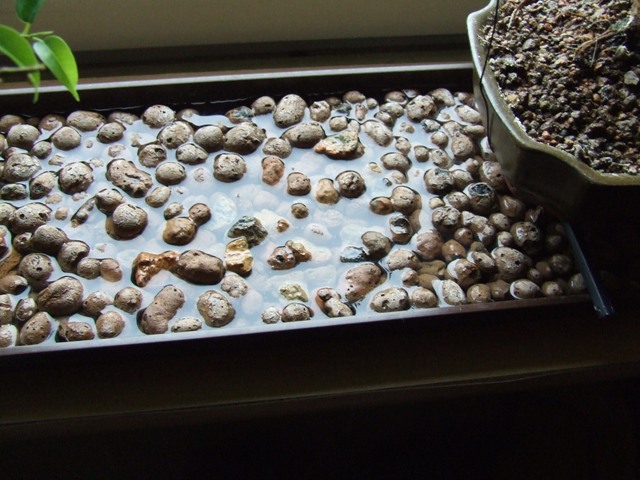 tacki z keramzytem obowiązkowe zimą!