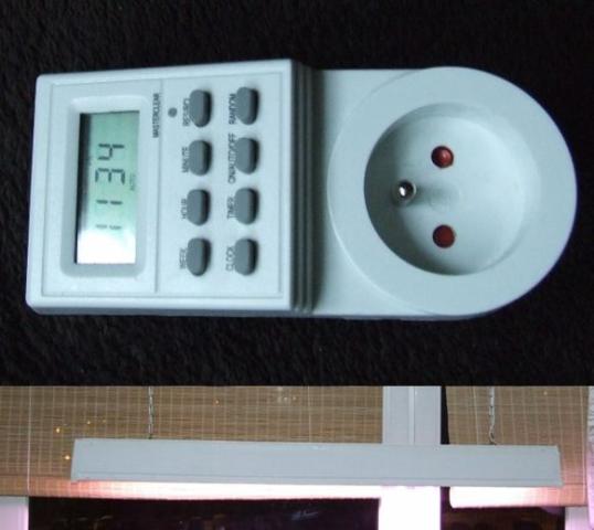 cyfrowy włącznik i lampa w całości!