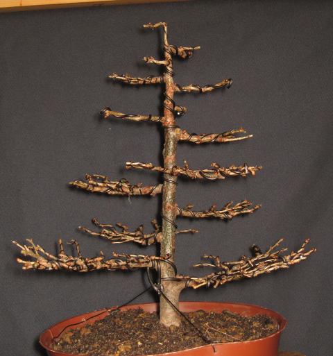 Marzec 2010 po formowaniu (front)