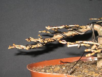 Pokminiona chmurka z warstwami