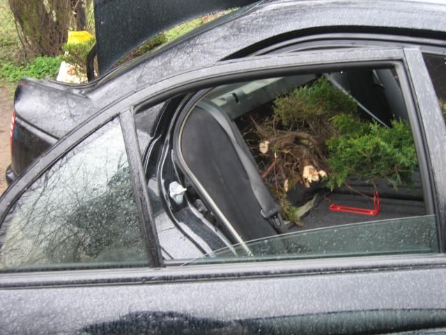 Bolid Dragon'a z załadowanym jałowcem i bluszczem.