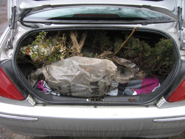 Bolid SirDejw'a z załadowanymi jałowcem, bluszczem, brzózką, bukszpanem i paroma innymi roślinkami.