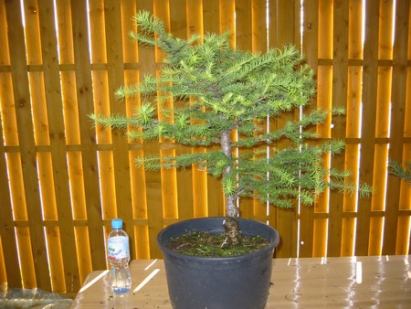 materiał wyjściowy