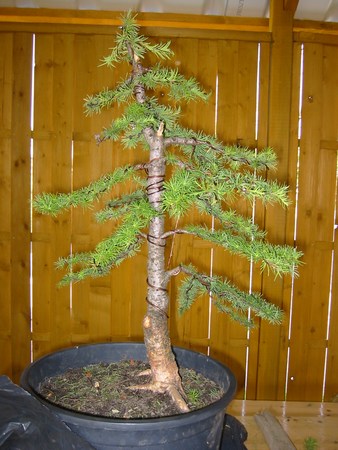 po pierwszym formowaniu