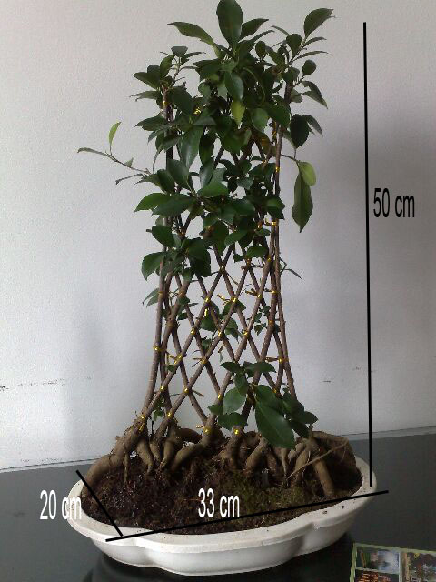 13052010413 - Kopia.jpg