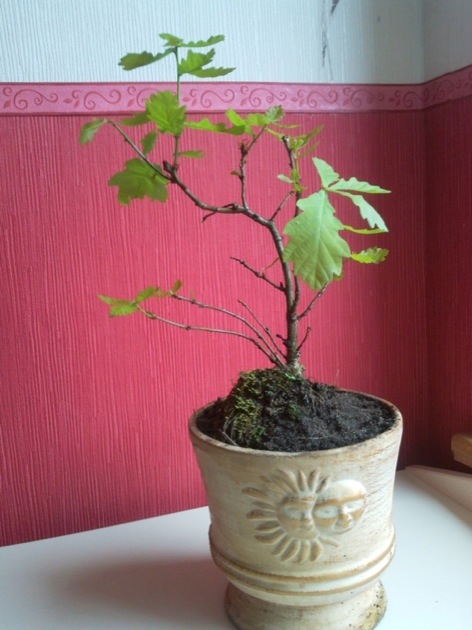 2010-05-20 11.50.39_800px_800px_630px.jpg