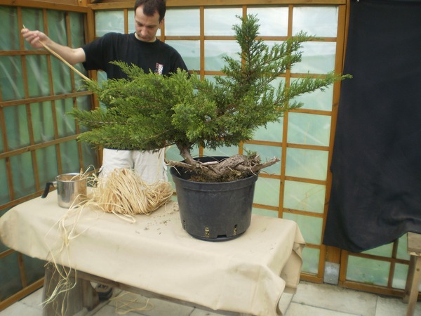 Materiał wyjściowy