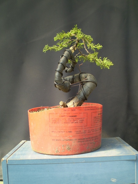 To ta sama pała co na 1 zdjęciu - niezła zmiana co ?