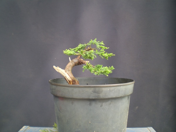 po formowaniu maluszka