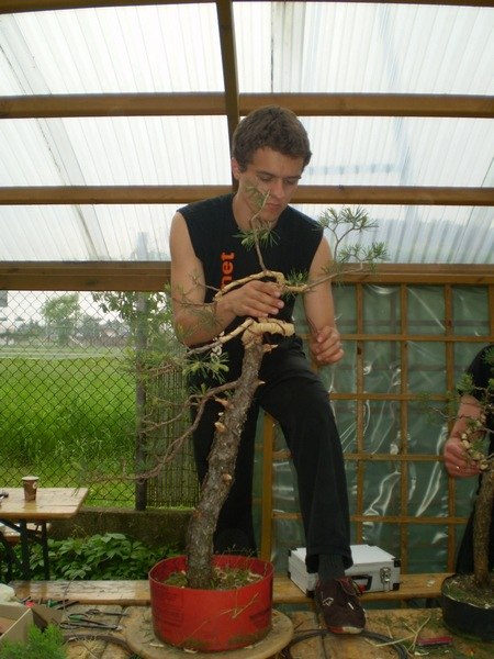 Troche wysoka roślina - trzeba na stole stać