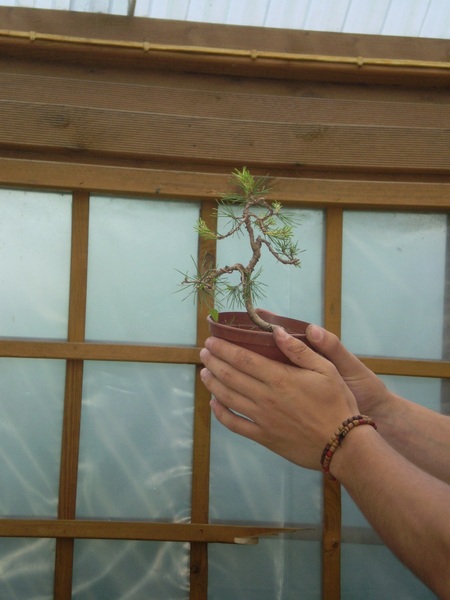 małe też potrafi być urocze