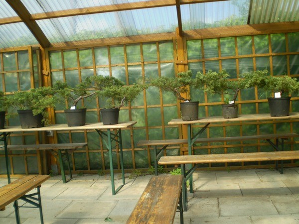 materiał do egzaminu