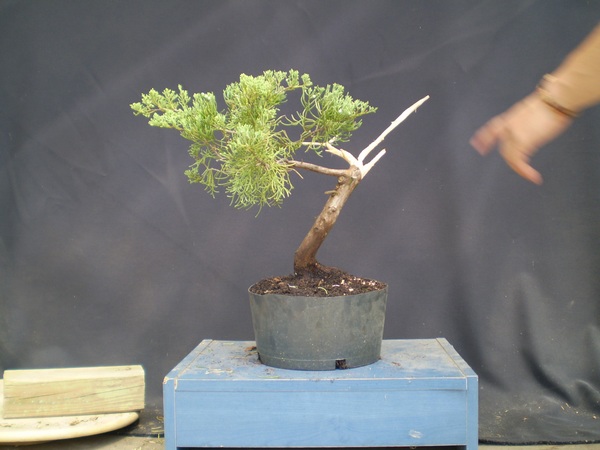 trzeba decyzje podjąć