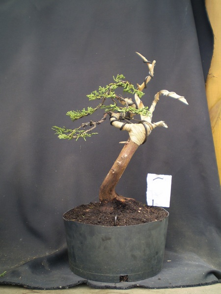 Ten środkowy jin wypadł - ale nie mam tego na zdjeciu