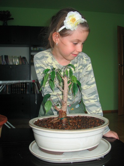 Największą sadzonkę posadziłem osobno. Ale ją też trzeba sprawdzić.