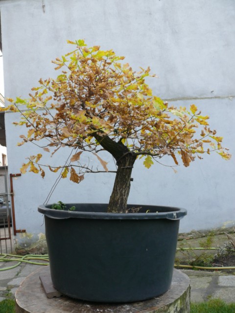 P1080414 [640x480].JPG