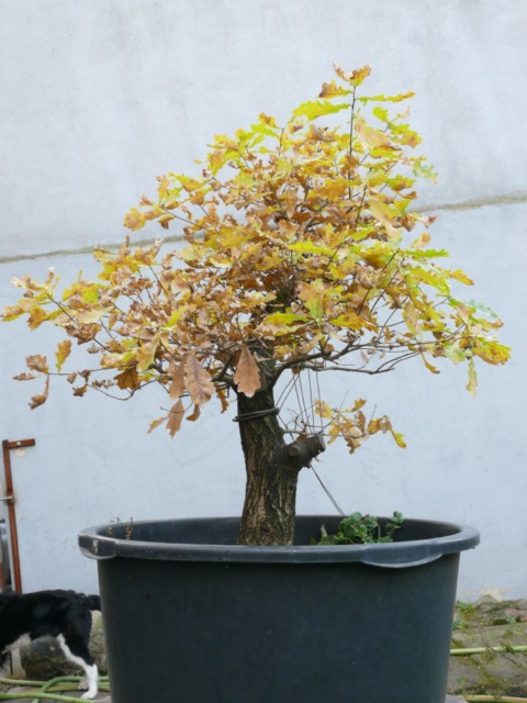 P1080412 [640x480].JPG