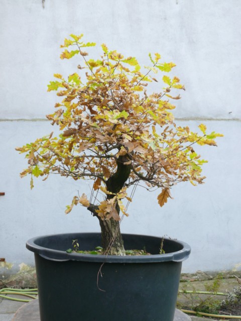 P1080409 [640x480].JPG