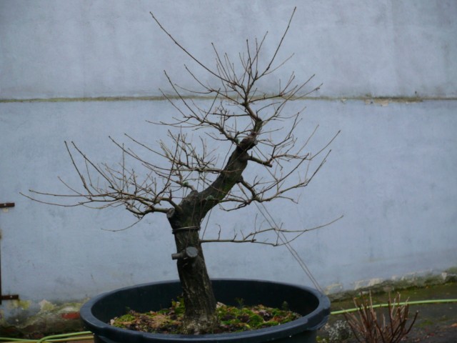 P1080484 [640x480].JPG